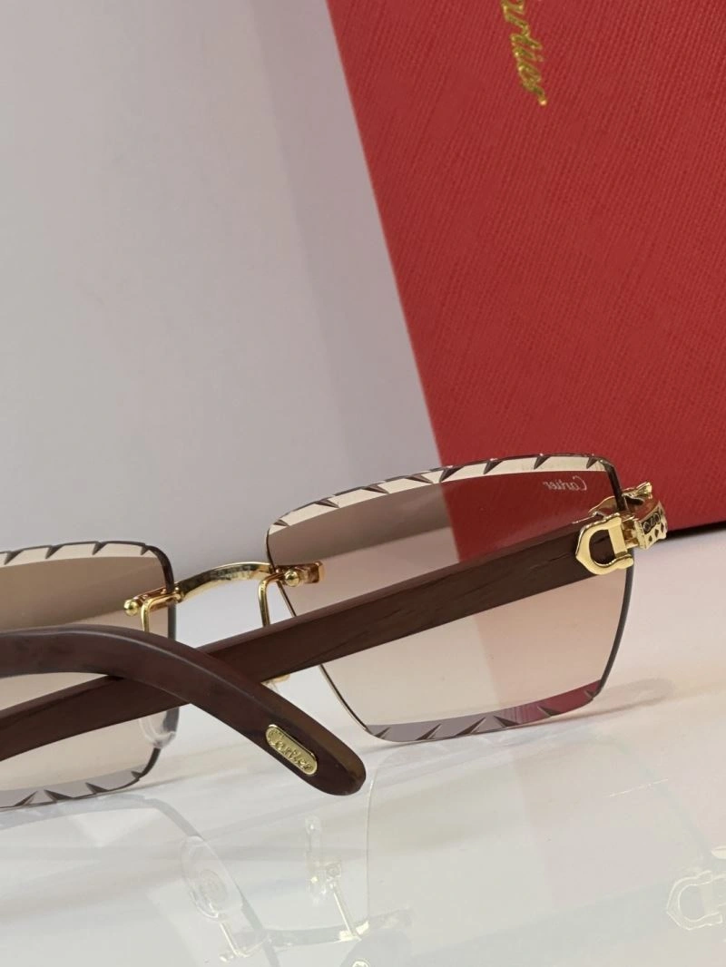 FreshLook Cartier Sunglasses 277691