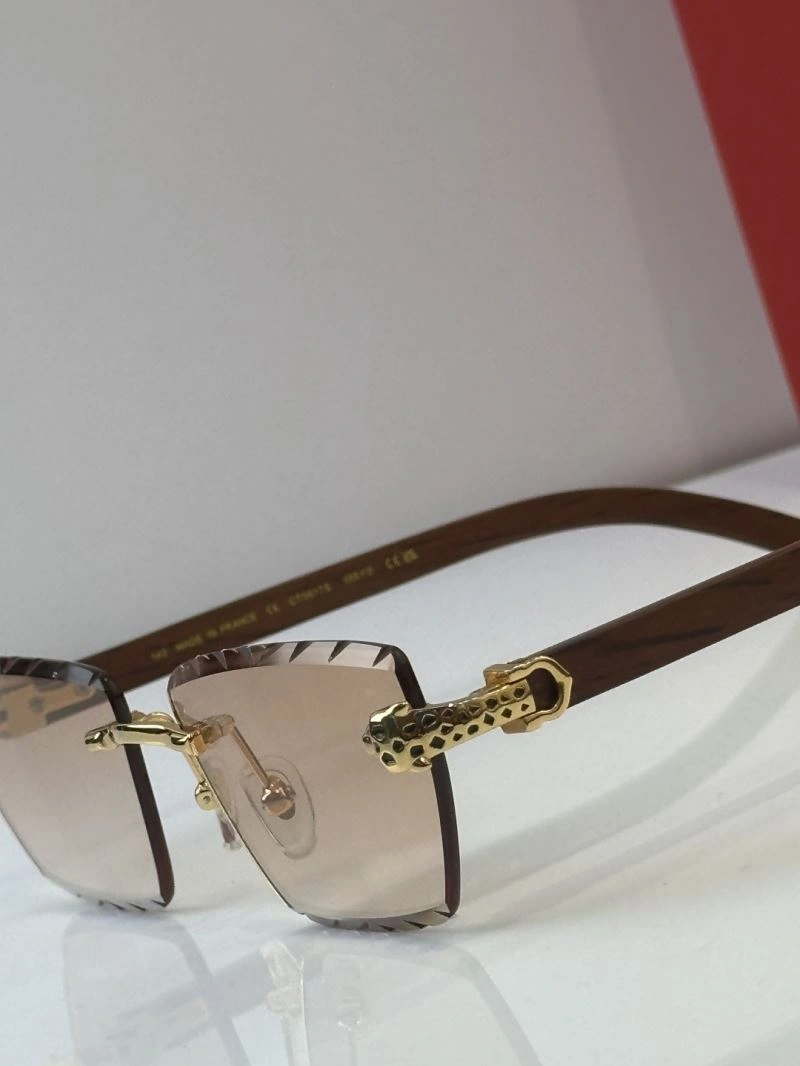 FreshLook Cartier Sunglasses 277691