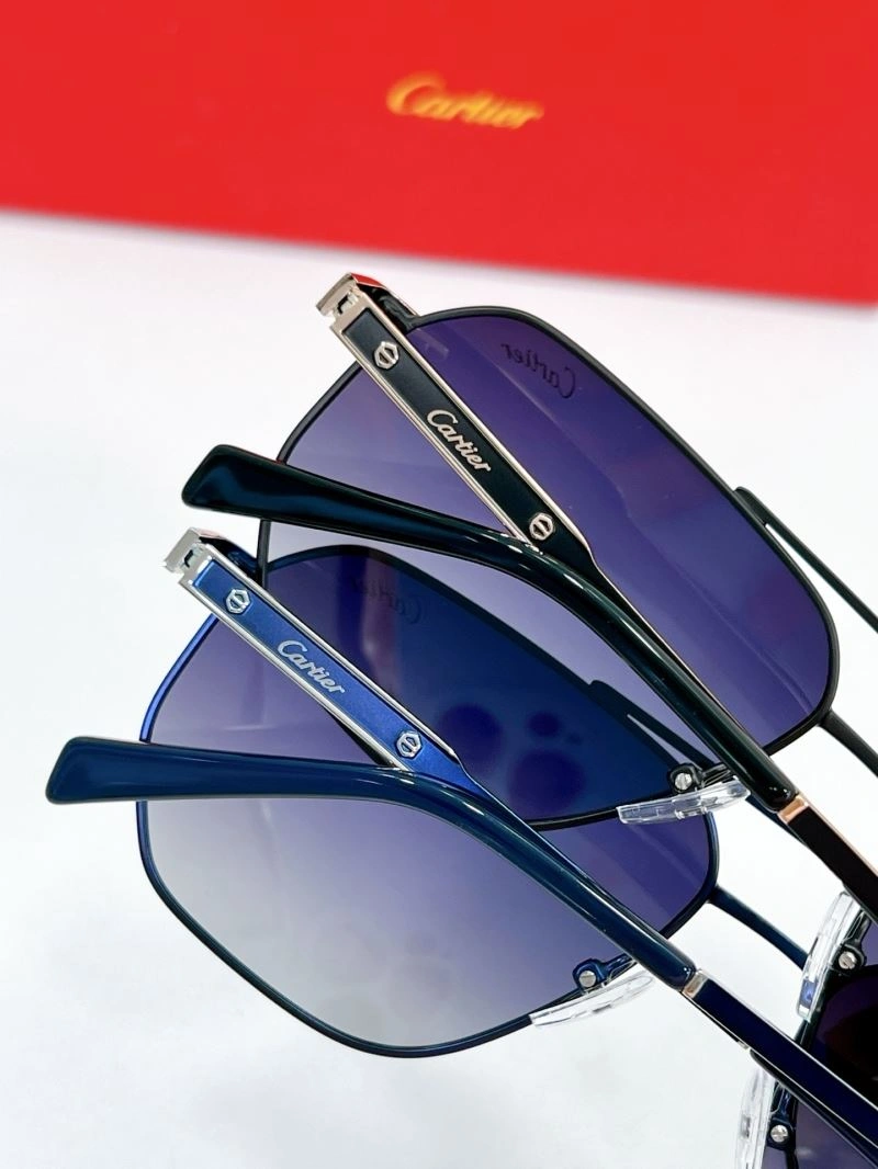 Cartier Sunglasses MultiPurpose 277673