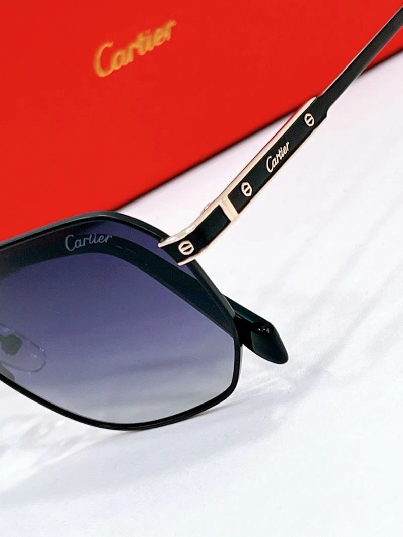 Cartier Sunglasses MultiPurpose 277673