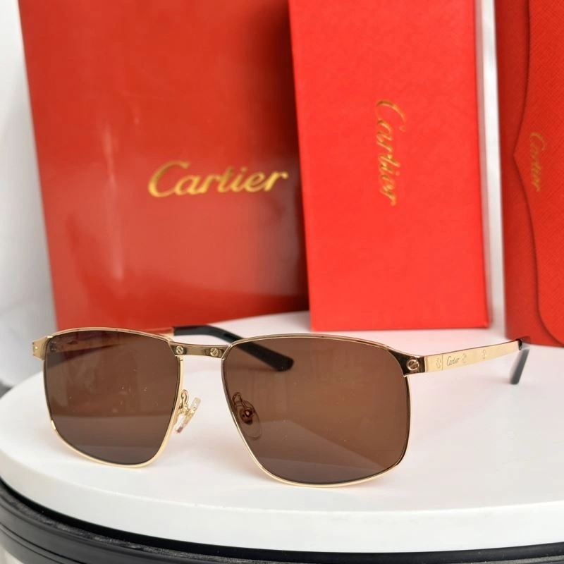 Cartier Sunglasses Sophisticated 277639
