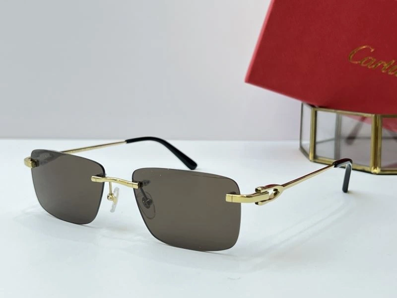 Cartier Sunglasses Snug 277607