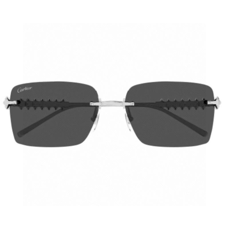 Cartier Sunglasses FastDry 277594