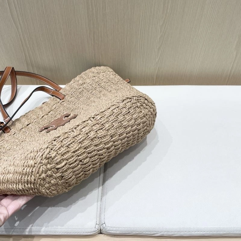 MultiPurpose Celine Bags 255634