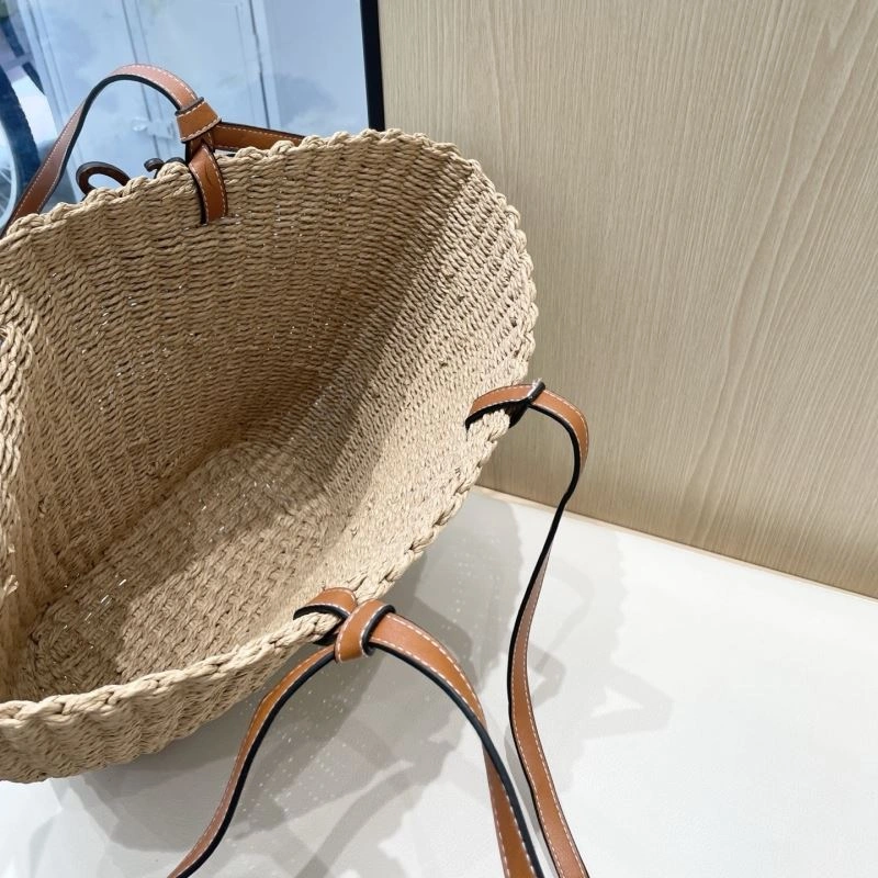 MultiPurpose Celine Bags 255634