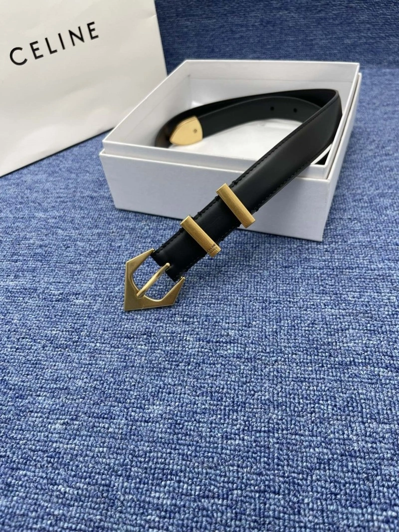 Celine Belts Vibrant 283725