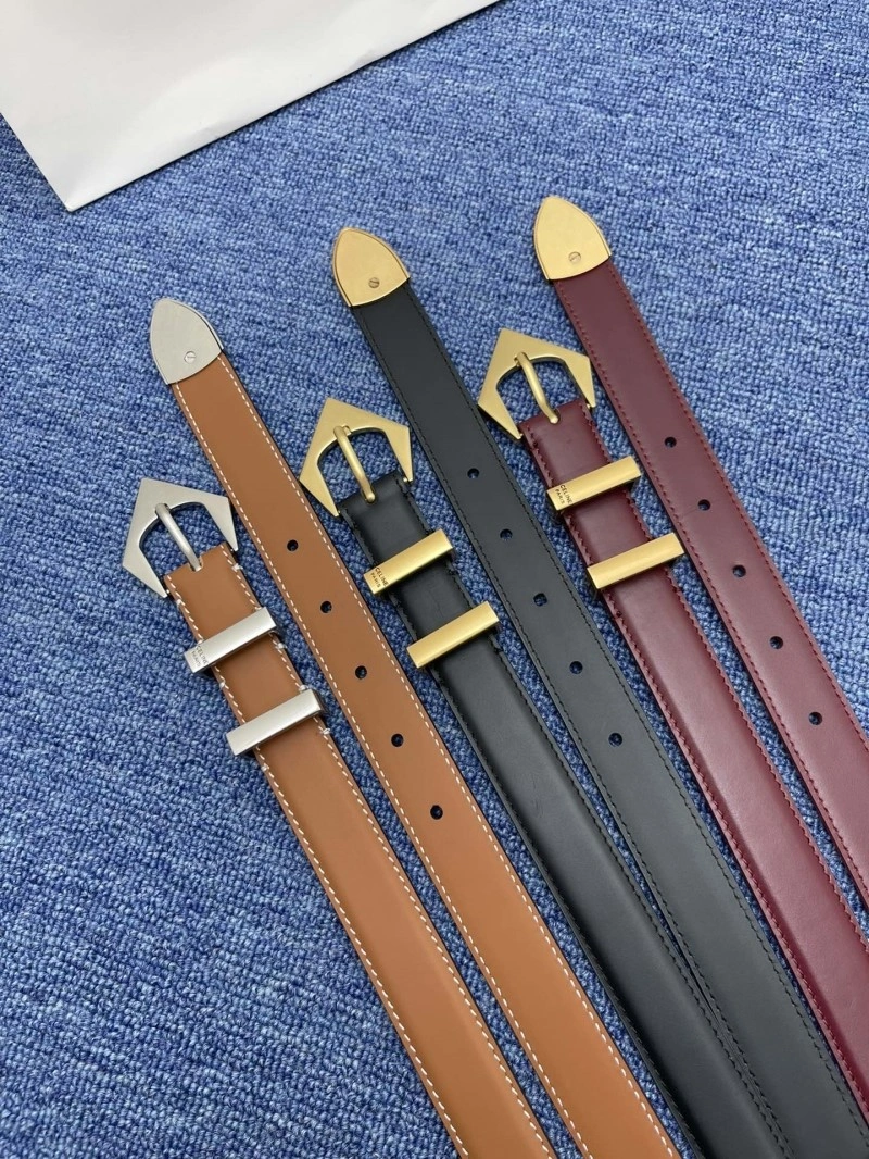 Celine Belts Vibrant 283725
