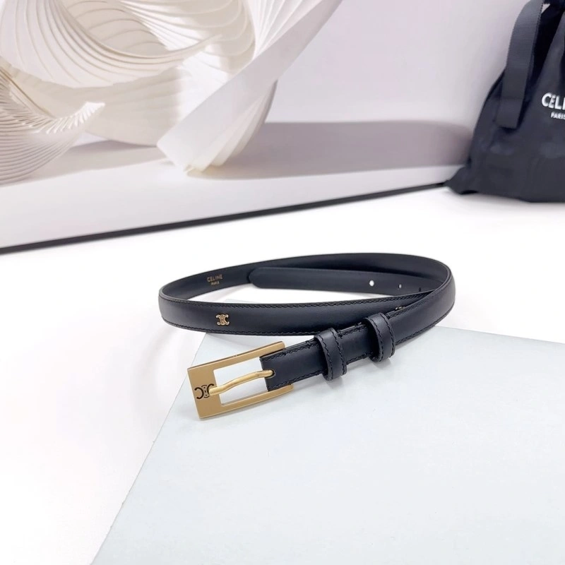 OdorResistant Celine Belts 283706