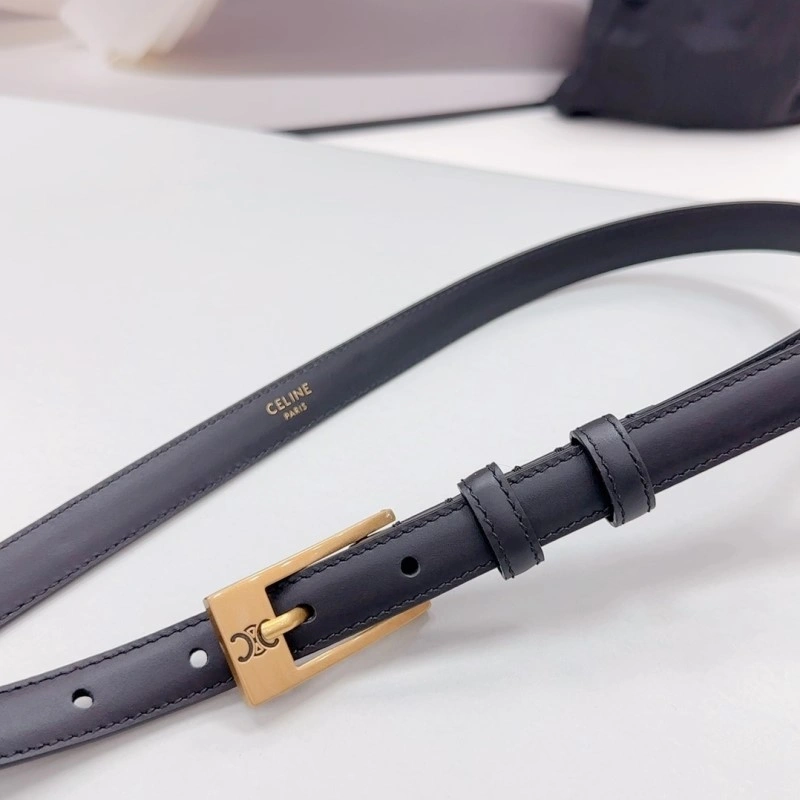 OdorResistant Celine Belts 283706