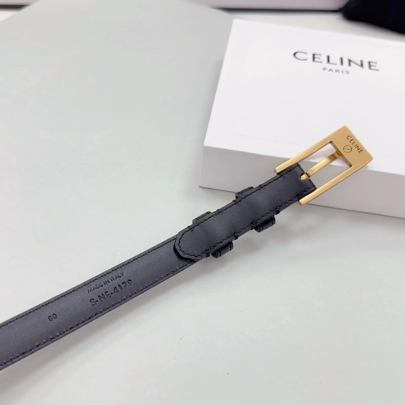 OdorResistant Celine Belts 283706