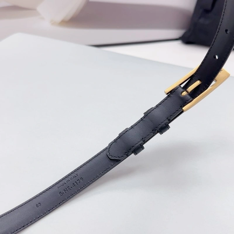 OdorResistant Celine Belts 283706