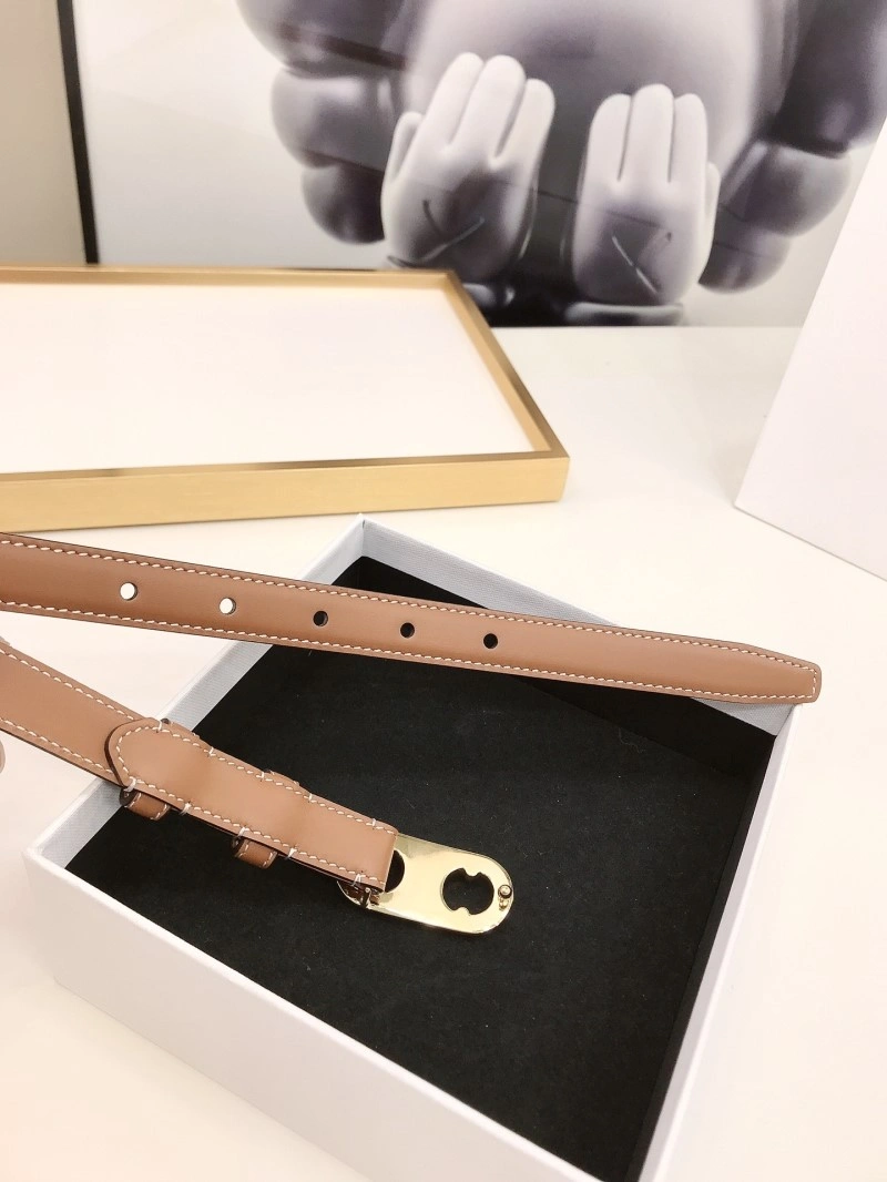 Celine Belts Cozy 283816