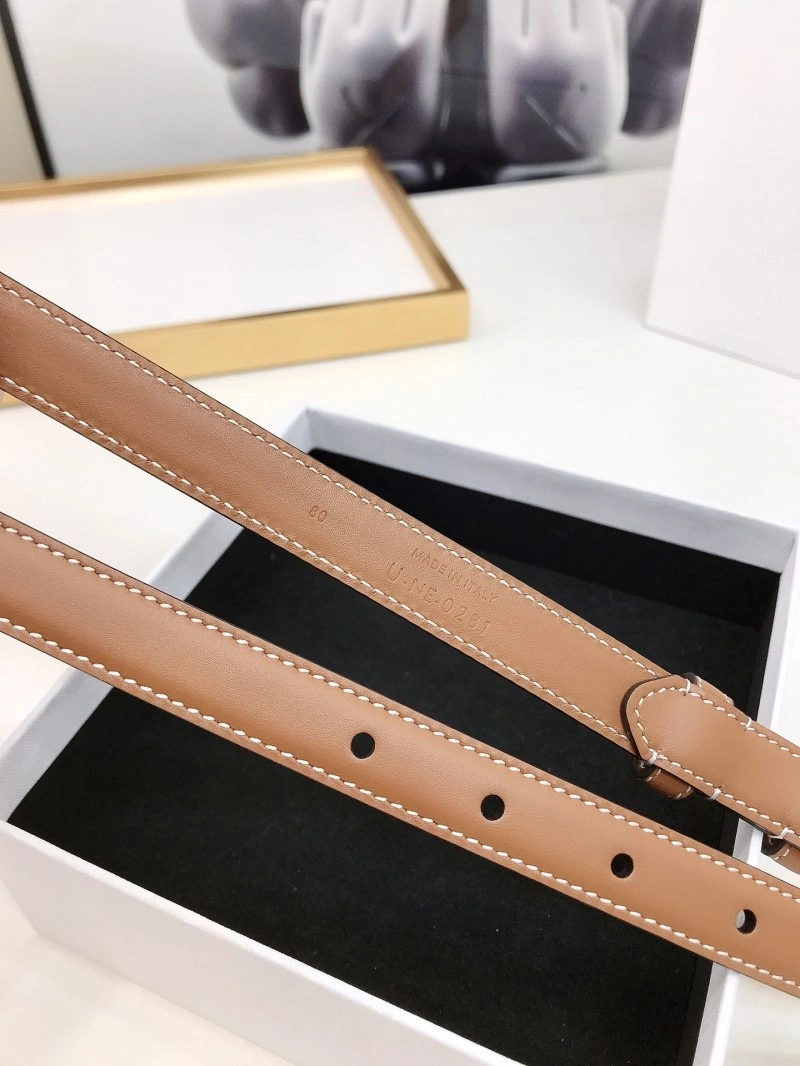 Celine Belts Cozy 283816