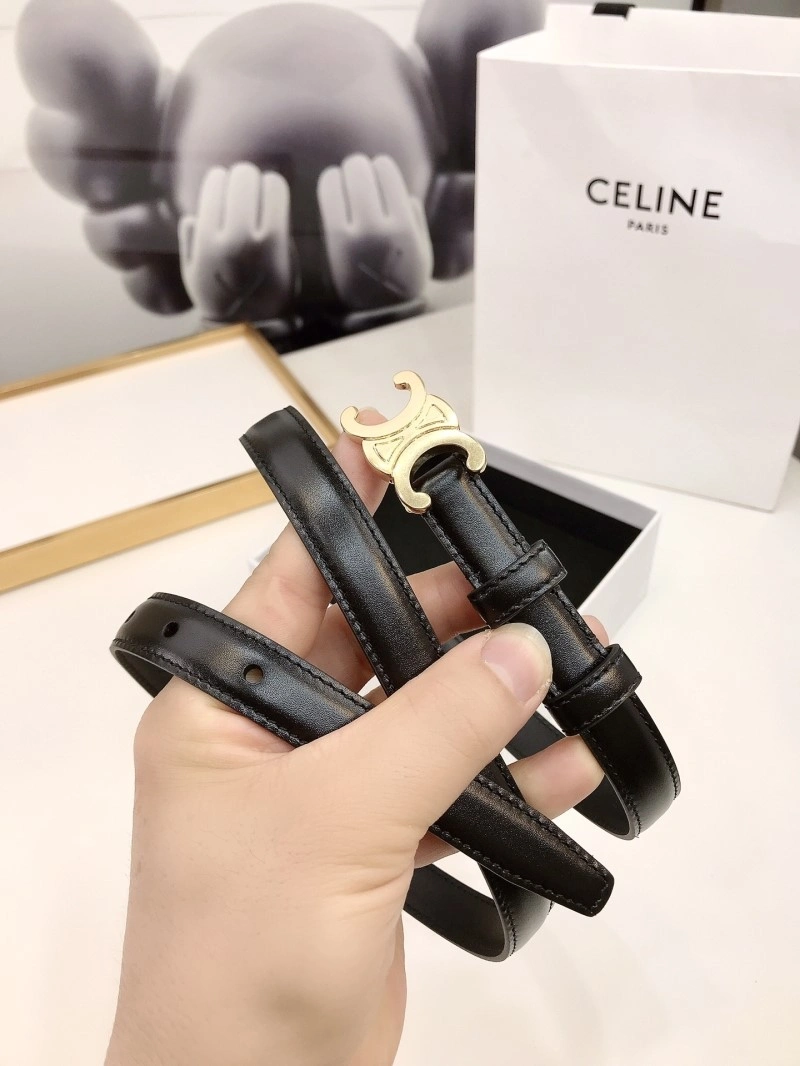 Celine Belts Colorful 283813