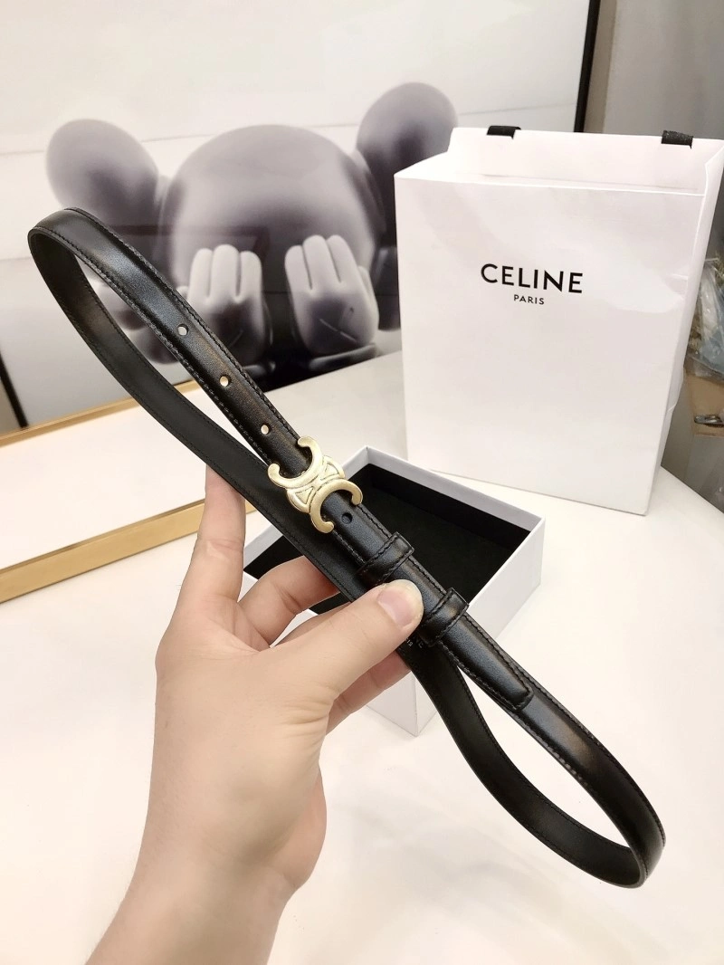 Celine Belts Colorful 283813