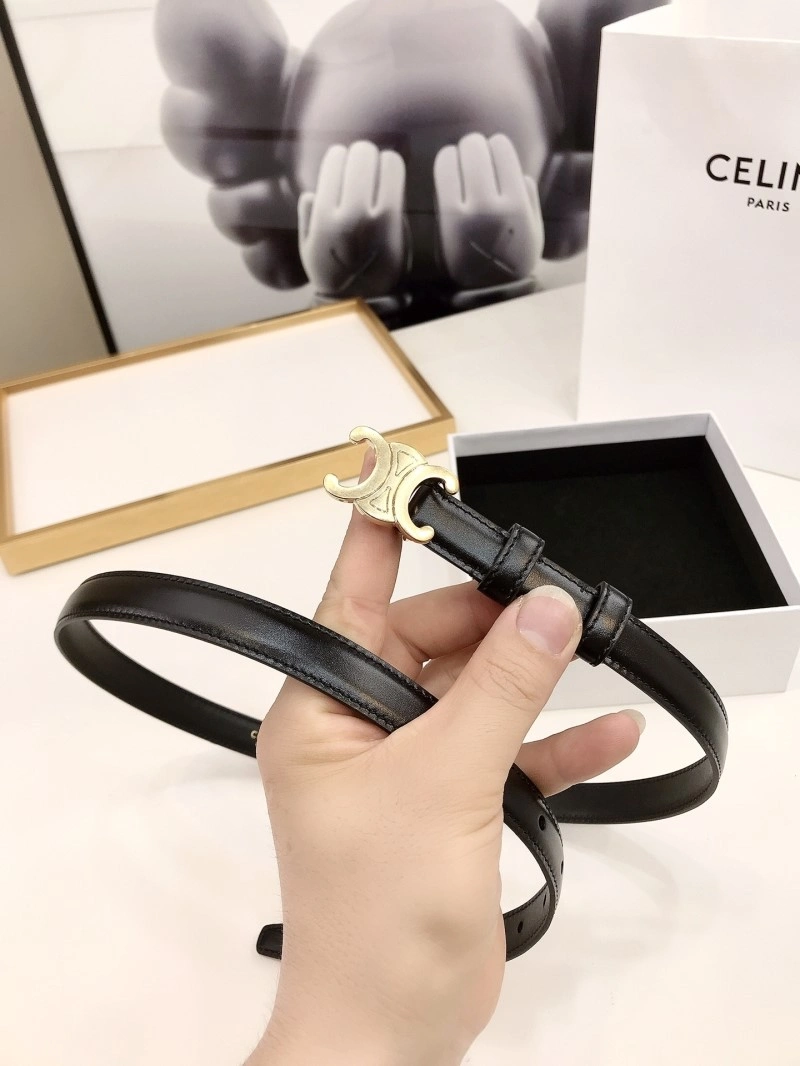 Celine Belts Colorful 283813
