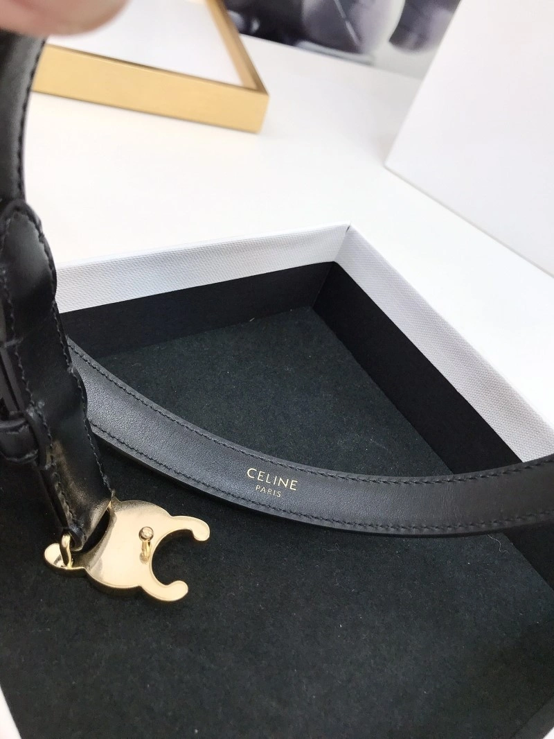 Celine Belts Colorful 283813