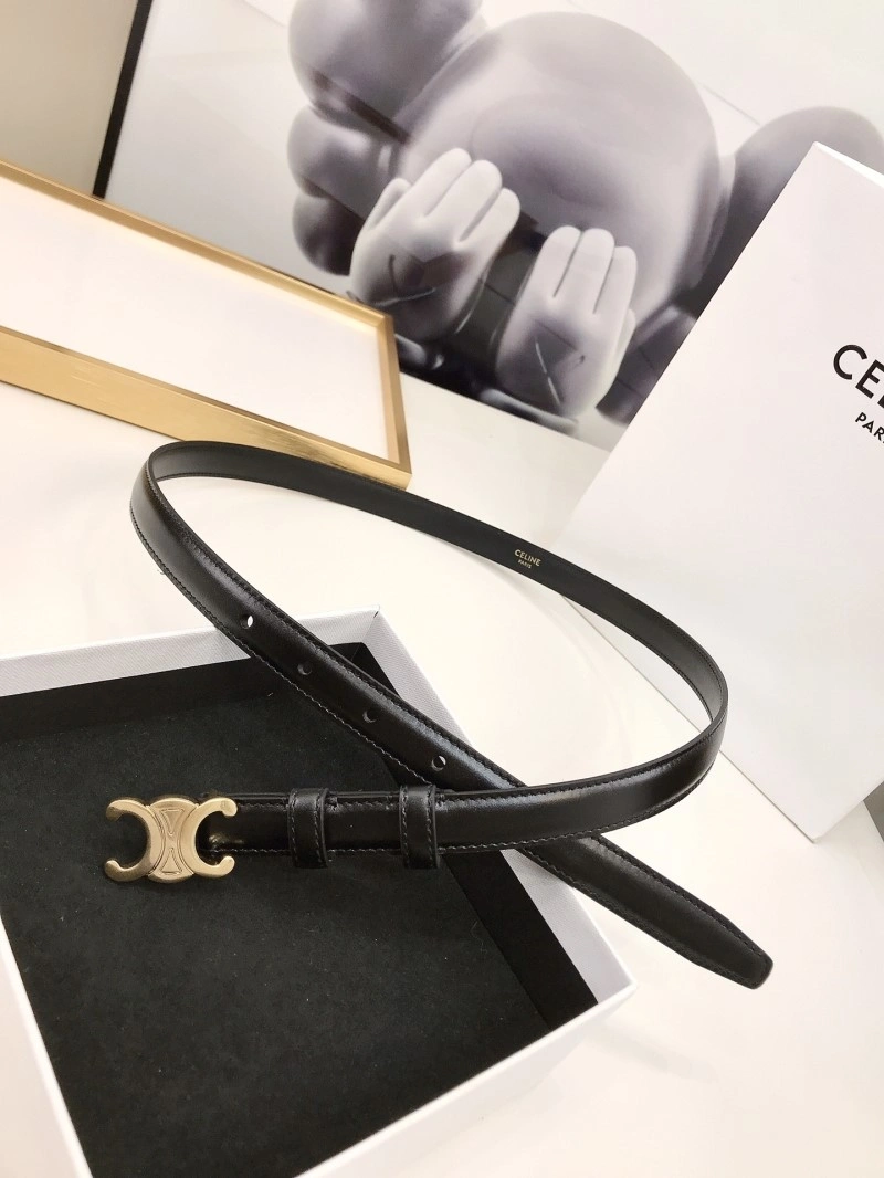 Celine Belts Colorful 283813
