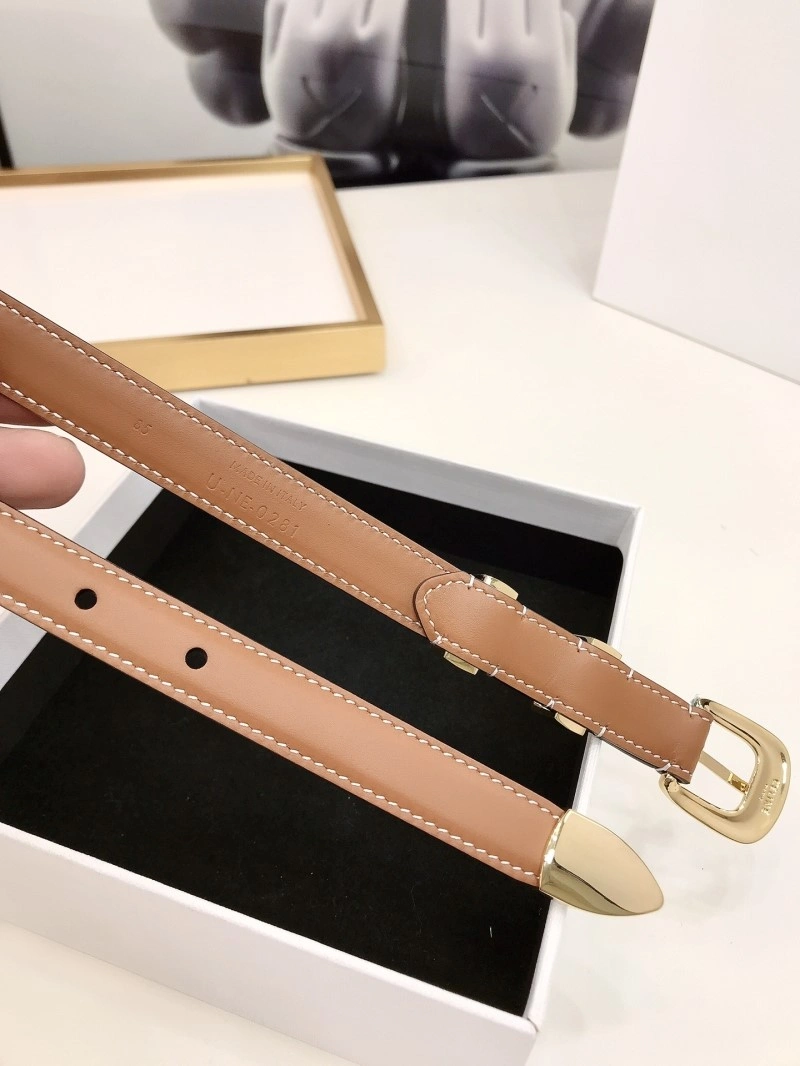 Celine Belts Neat 283767
