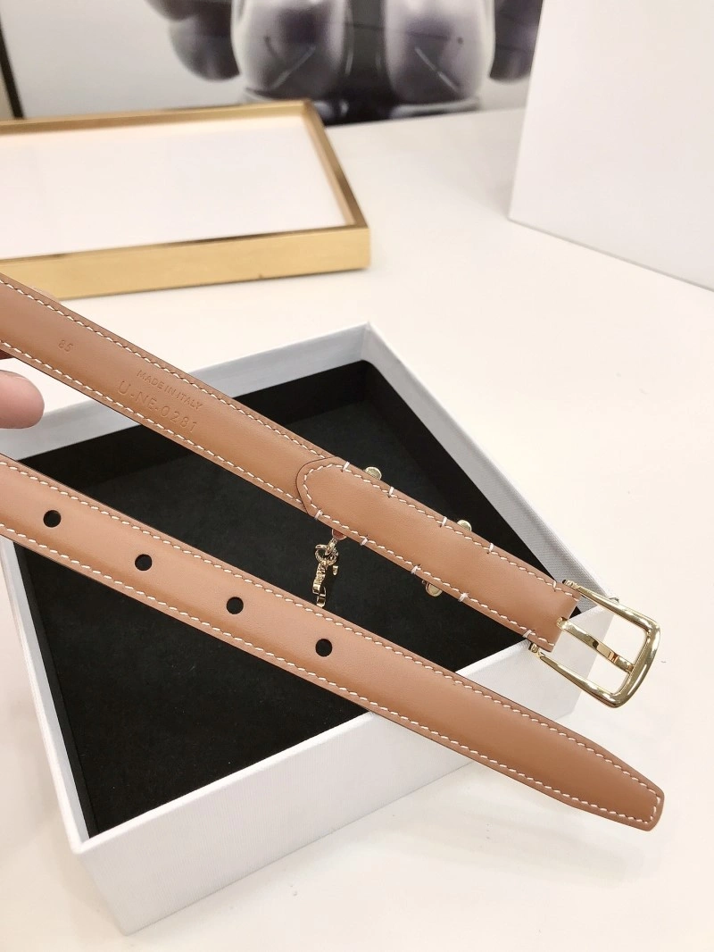 GoodFit Celine Belts 283744
