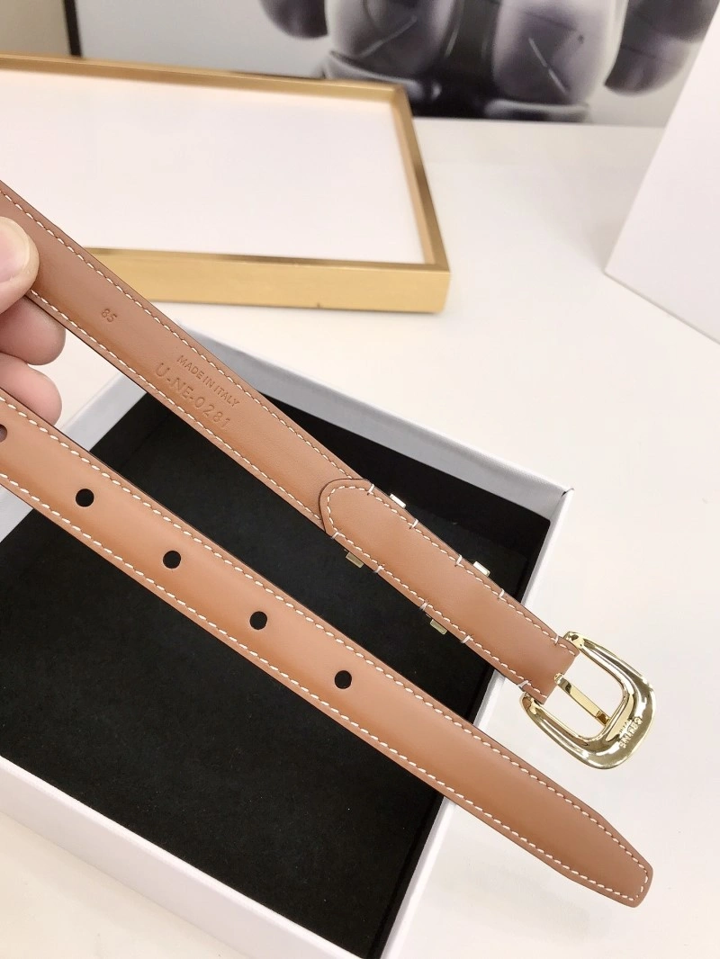 Celine Belts WellDesigned 283740
