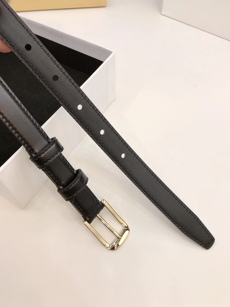 Celine Belts GoAnywhere 283761