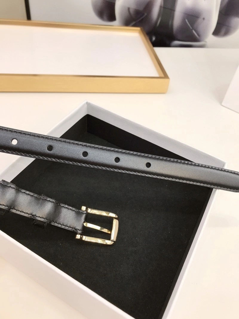Celine Belts GoAnywhere 283761