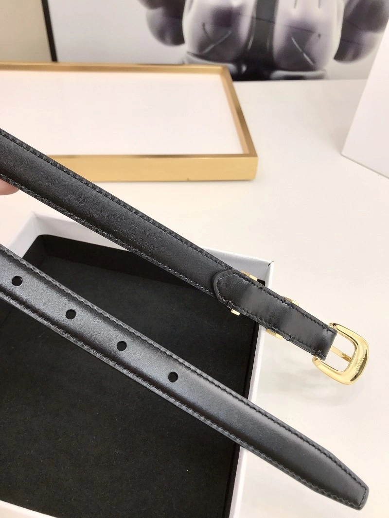 Celine Belts Upgraded 283753