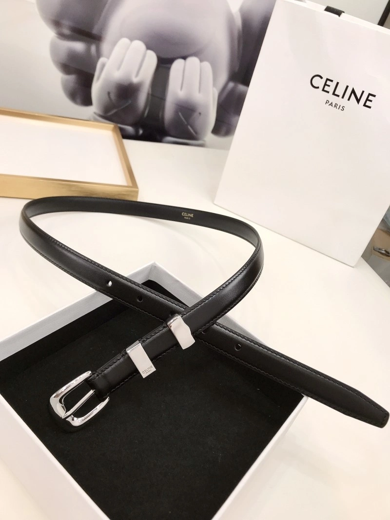 EyeCatching Celine Belts 283748