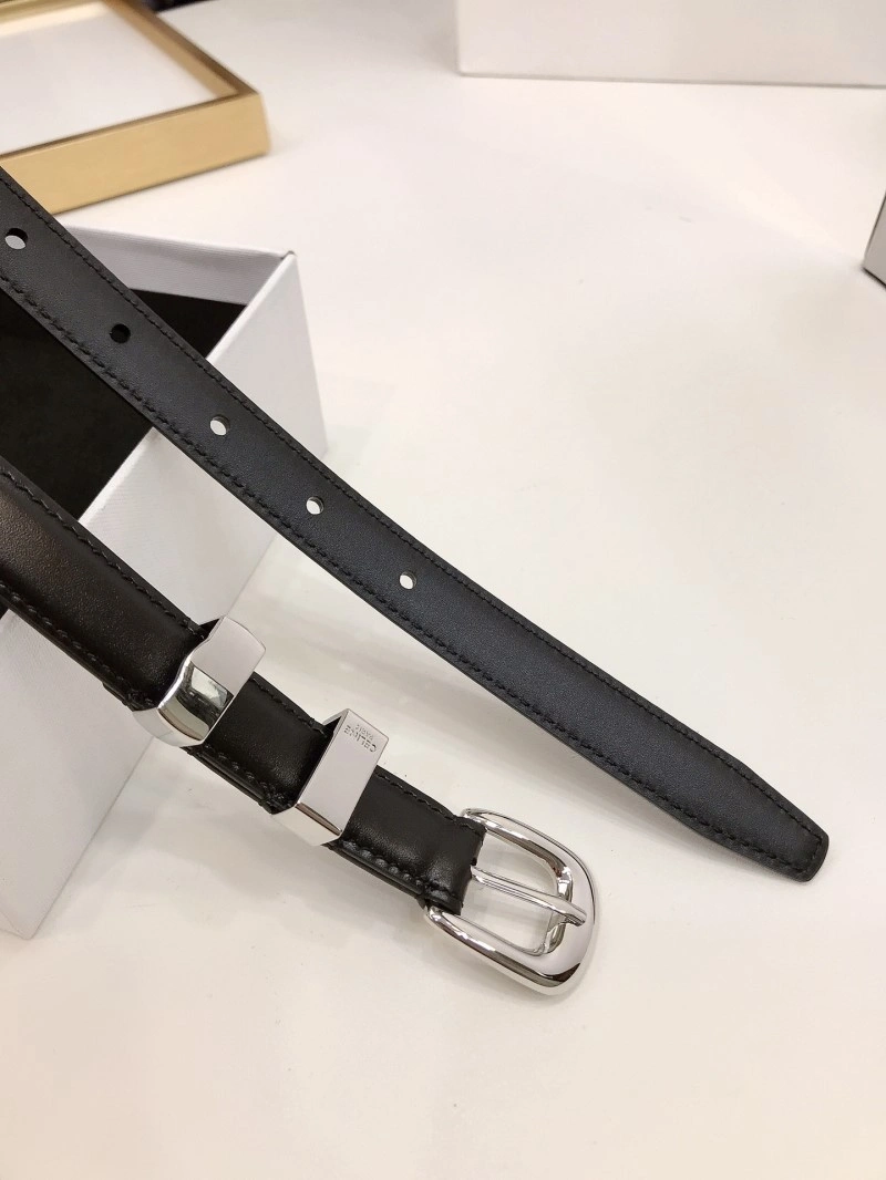 EyeCatching Celine Belts 283748