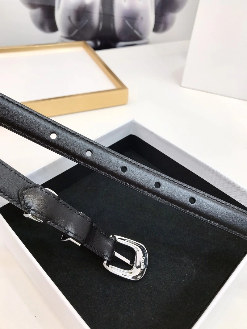 EyeCatching Celine Belts 283748
