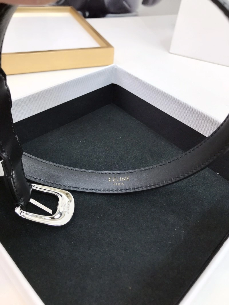 EyeCatching Celine Belts 283748