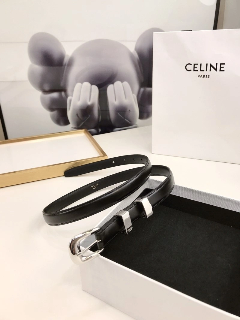 EyeCatching Celine Belts 283748