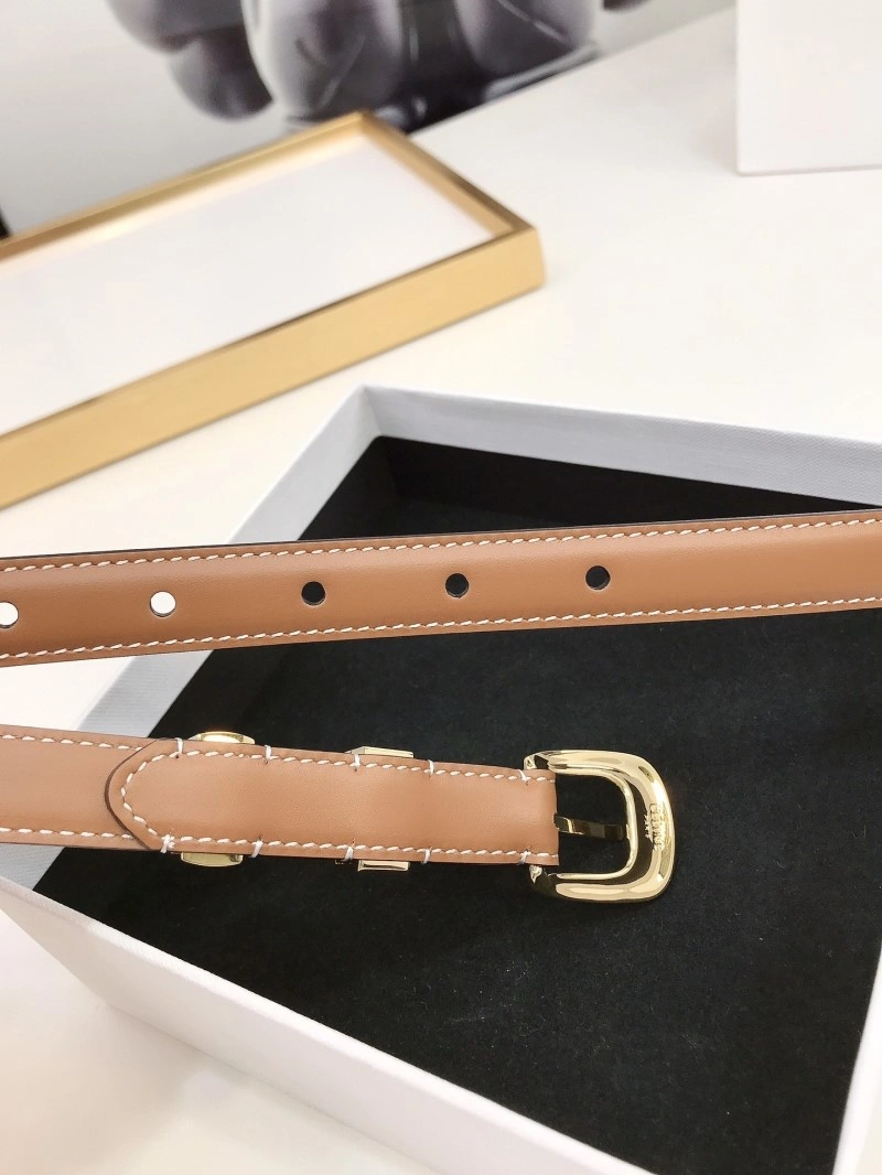 Celine Belts StreetReady 283745