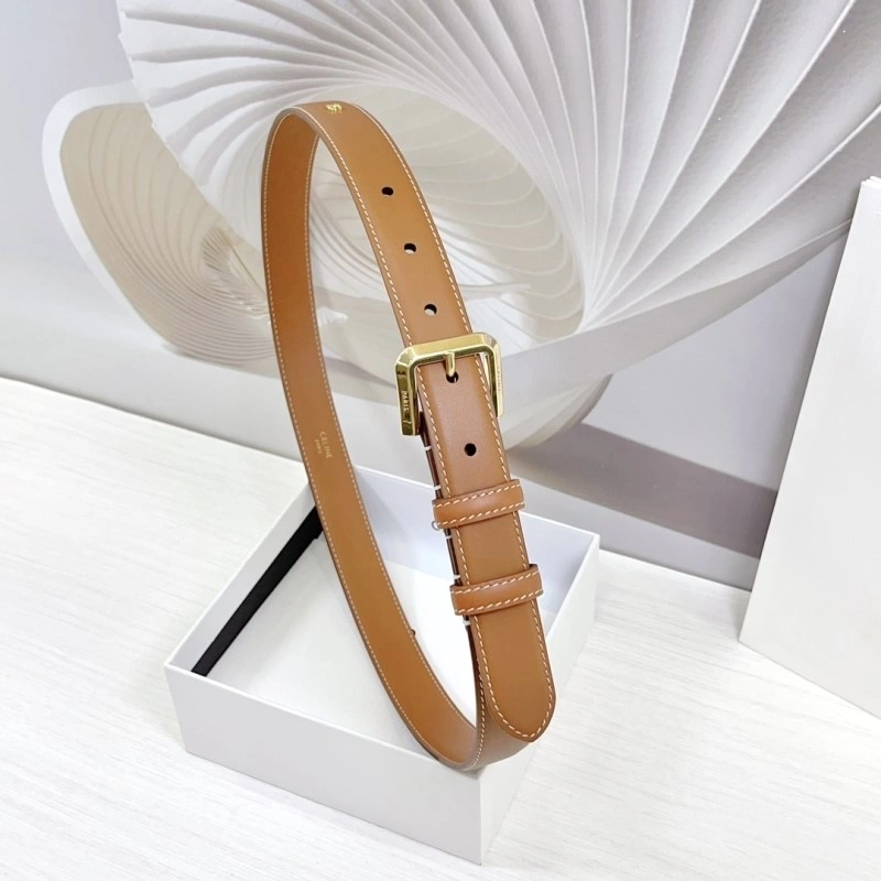 Celine Belts Vibrant 283728
