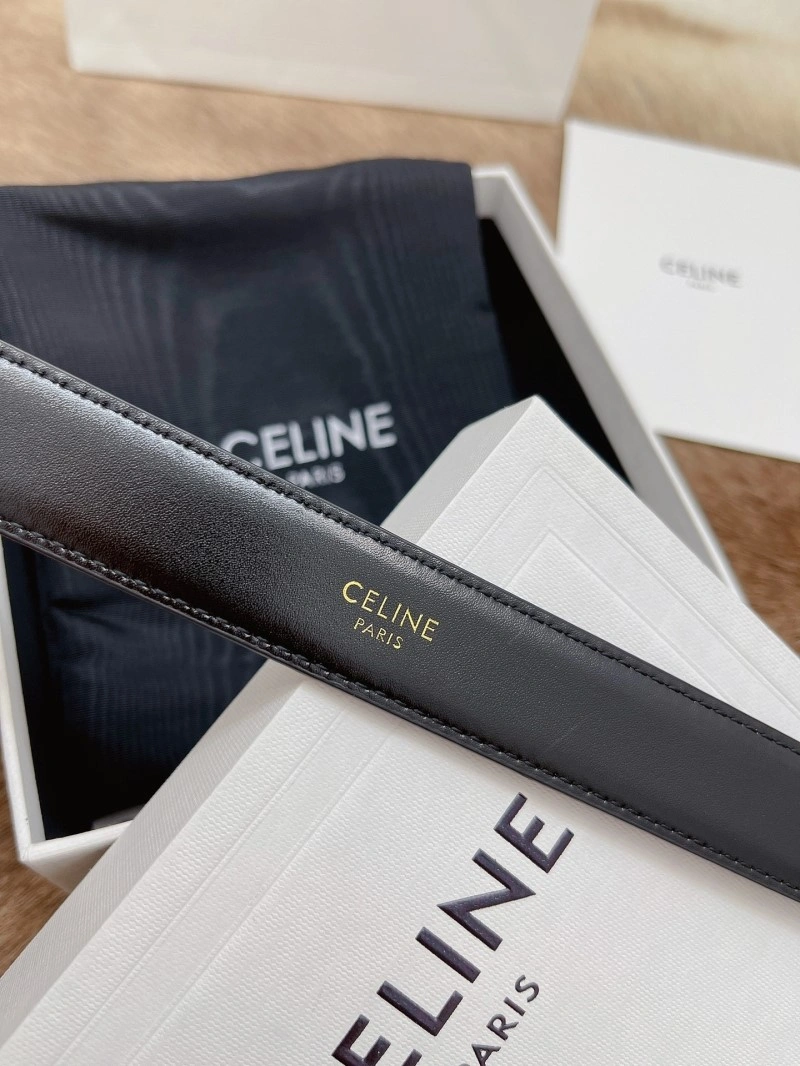 Versatile Celine Belts 283724