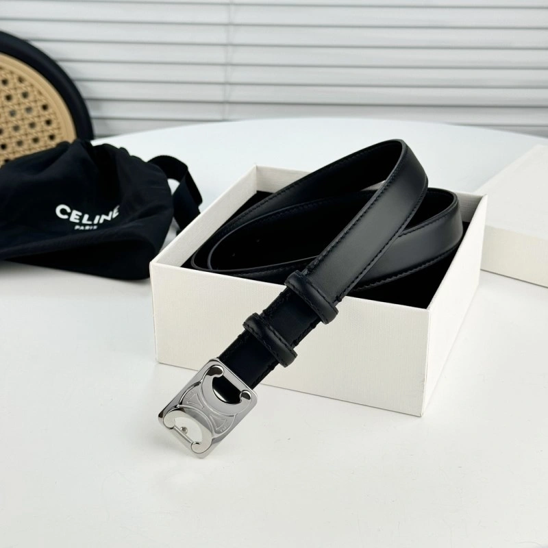 Celine Belts Cozy 283689