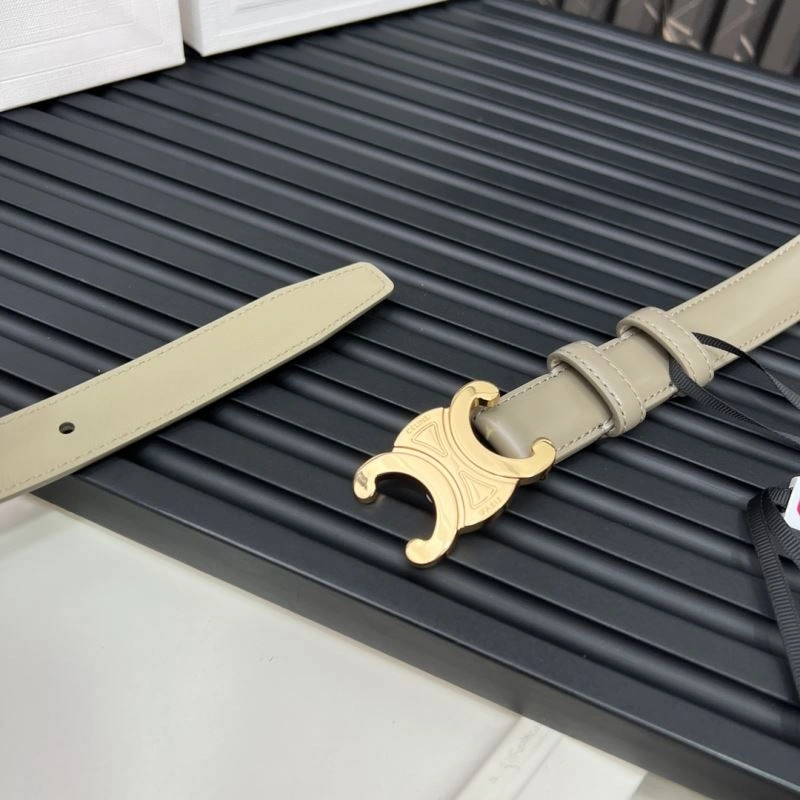 WellDesigned Celine Belts 283833
