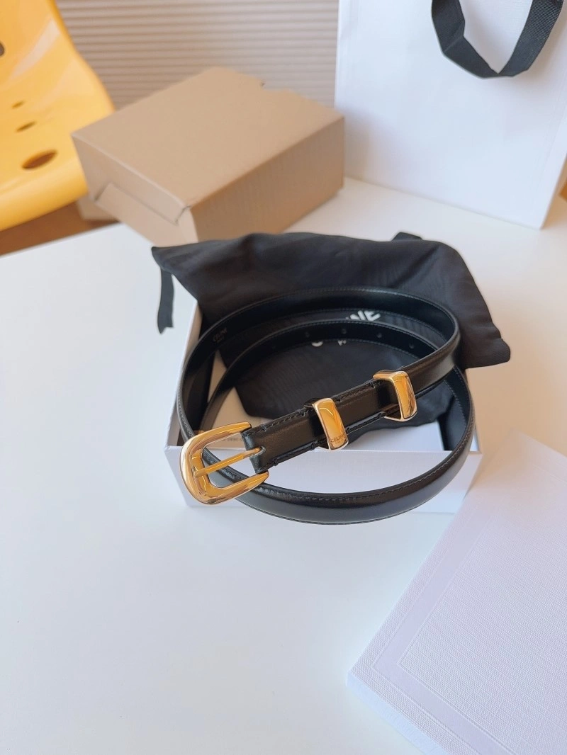 MultiPurpose Celine Belts 283674