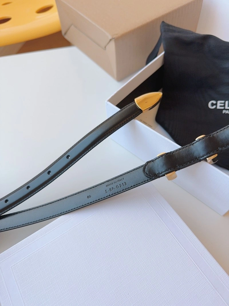 MultiPurpose Celine Belts 283674
