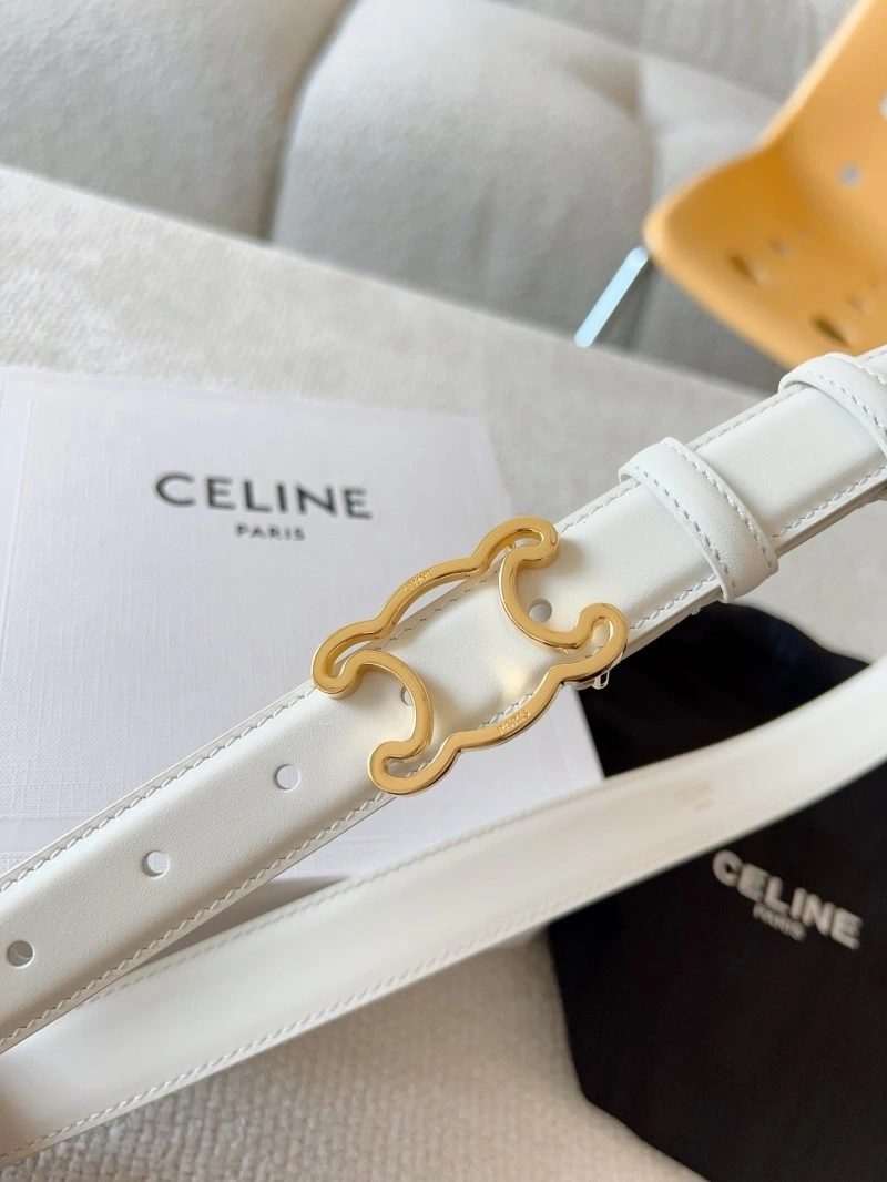 Celine Belts Colorful 283646