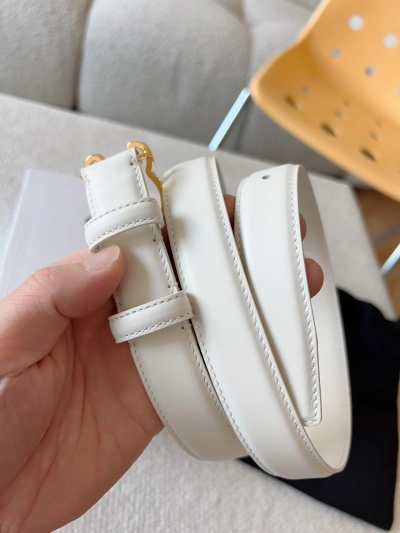 Celine Belts Colorful 283646
