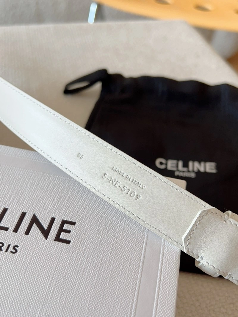 Celine Belts Colorful 283646