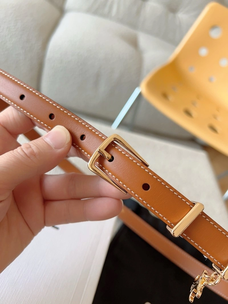 AllSeason Celine Belts 283644