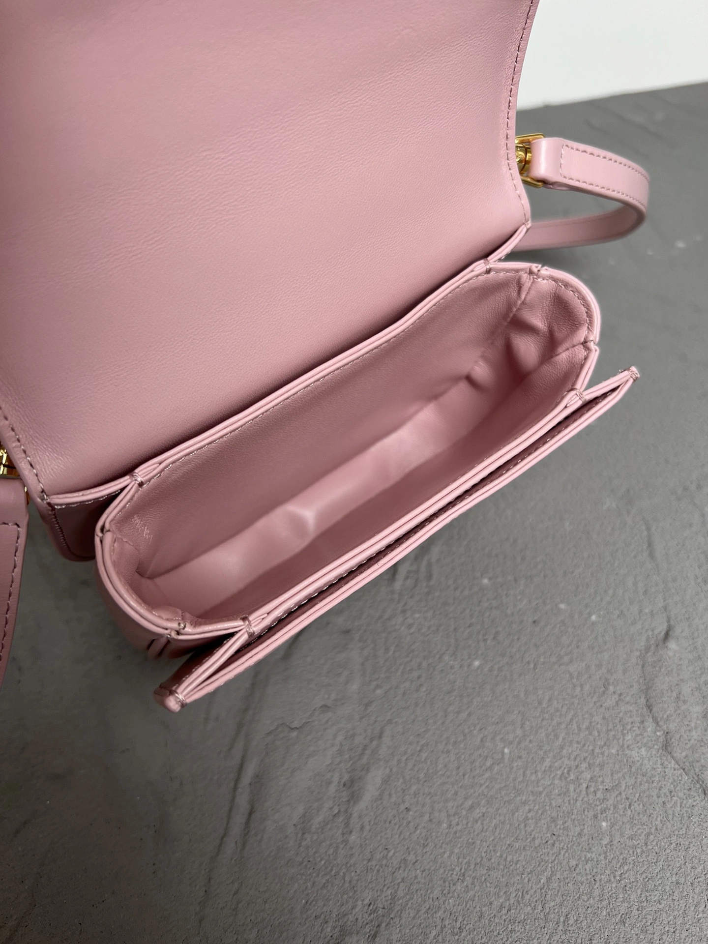 Celine Besace Bags EasyCare 78531
