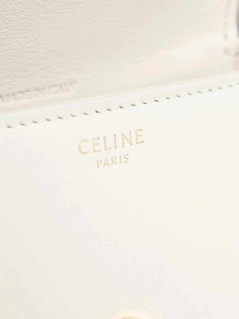 Celine Besace Bags Colorful 94883