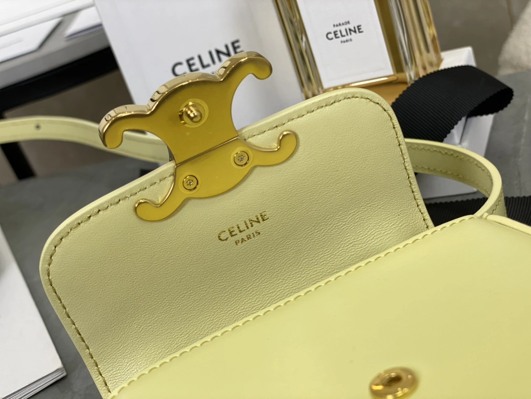 Celine Besace Bags BestValue 94716