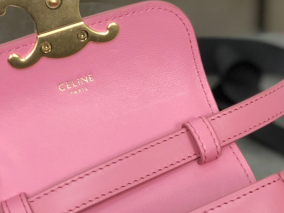 Celine Besace Bags MultiPurpose 94663