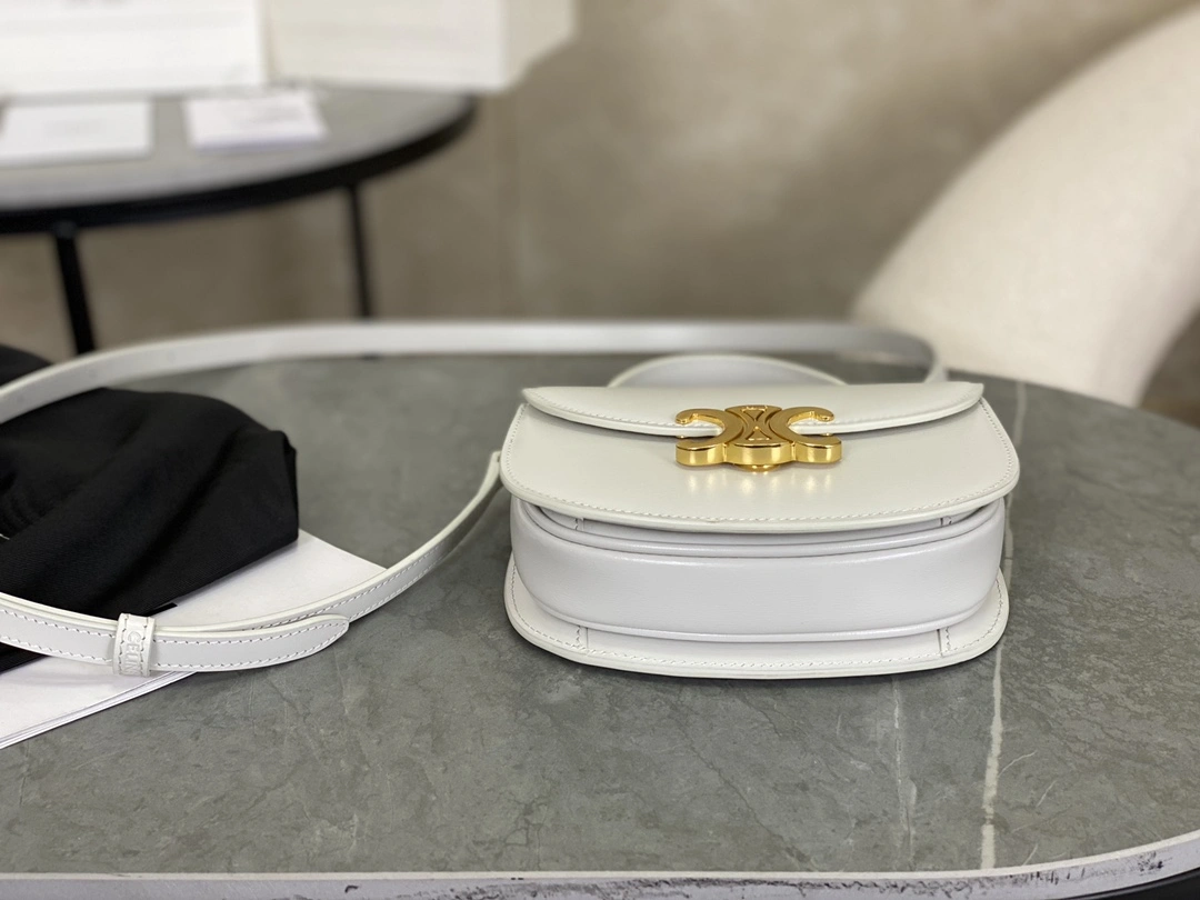 Timeless Celine Besace Bags 94689