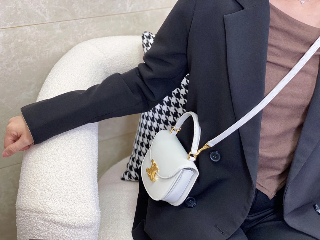Timeless Celine Besace Bags 94689